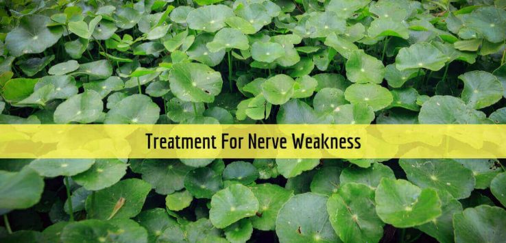 Nerve Weakness _ Ayurvedum