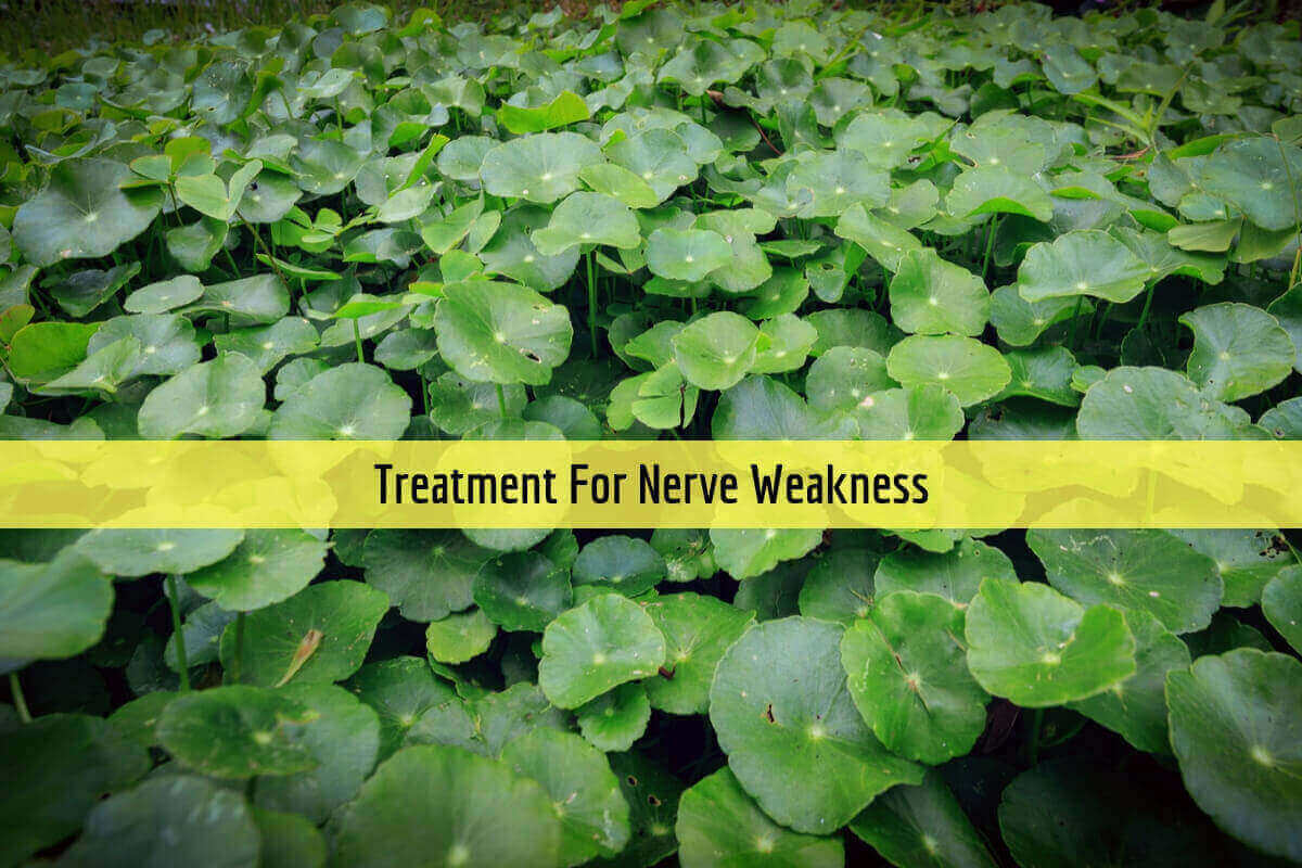 nerve-weakness-home-remedies-to-treat-the-inflammation-ayurvedum