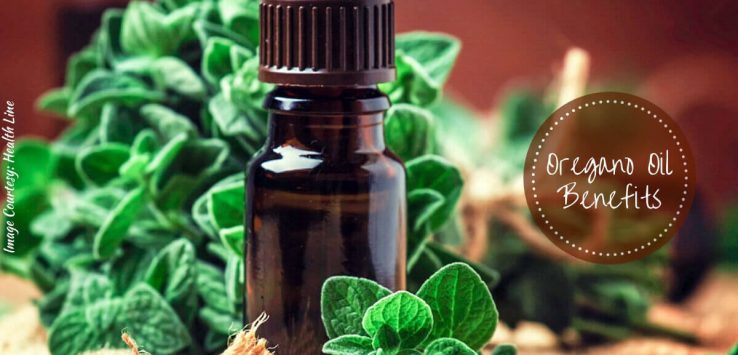 Oregano oil benefits _ Ayurvedum