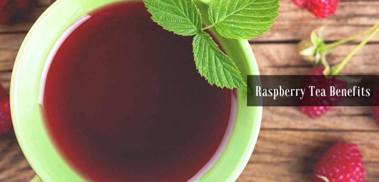 Raspberry leaf tea benefits _ Ayurvedum