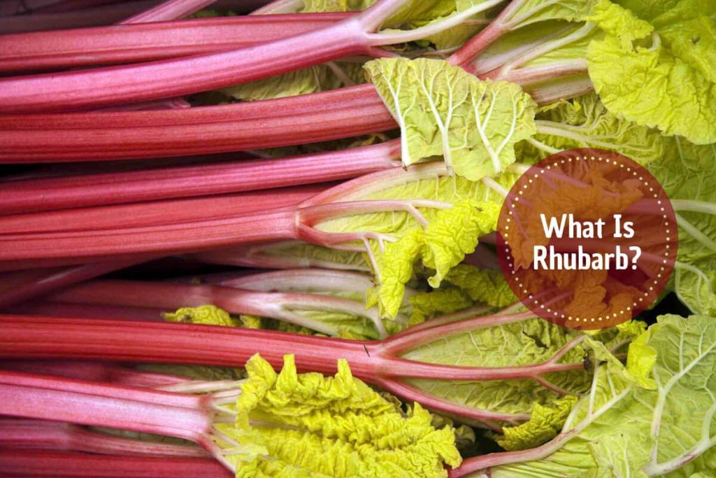 What Is Rhubarb _ Ayurvedum