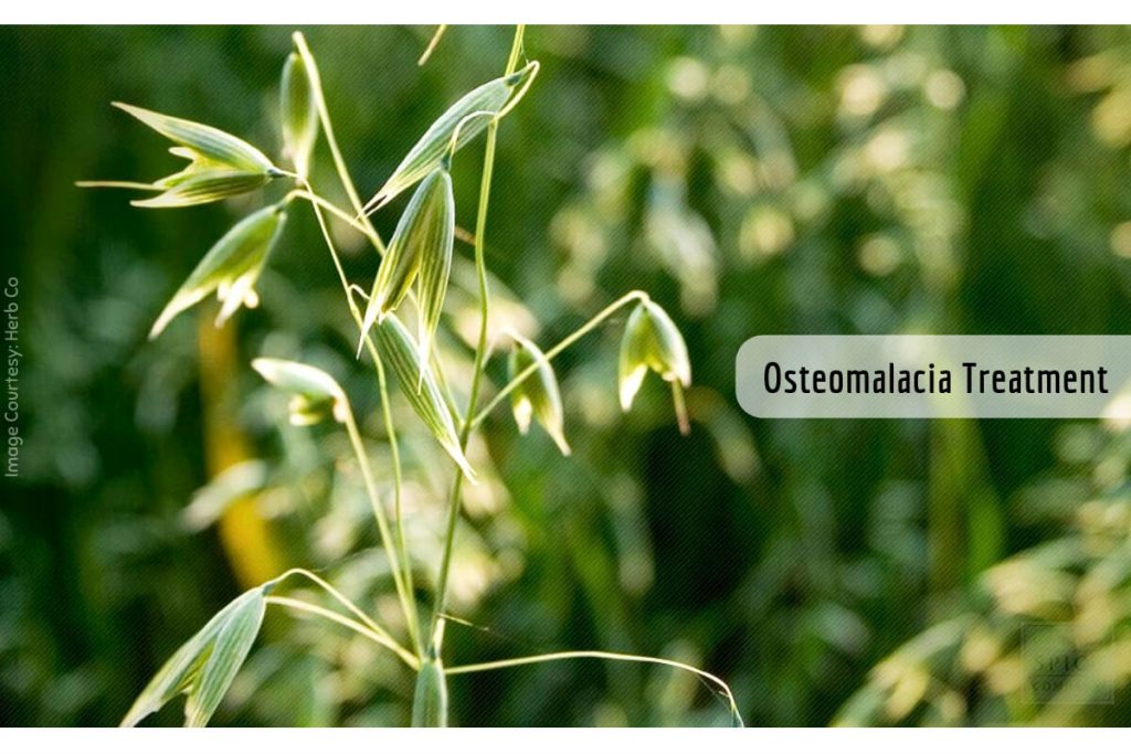 Osteomalacia symptoms _ Ayurvedum