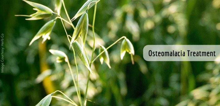 Osteomalacia symptoms _ Ayurvedum