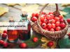 Hawthorn Berry Benefits _ Ayurvedum