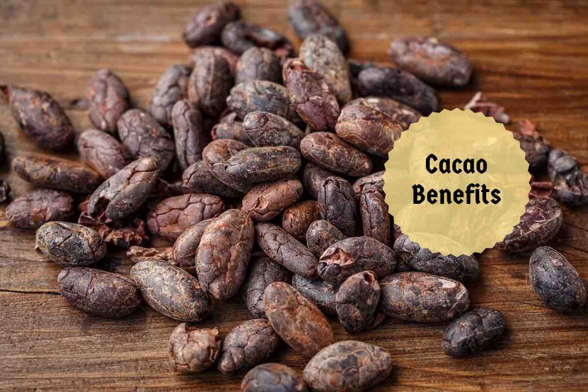 Cacao Benefits: 7 Reasons To Enjoy This Superfood Guilt-Free!