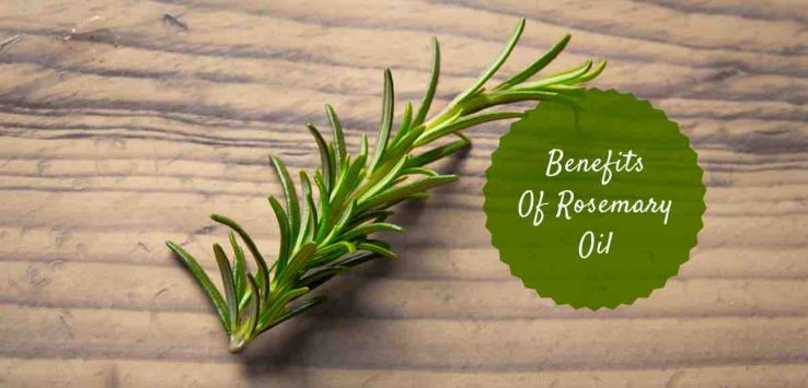 rosemary oil