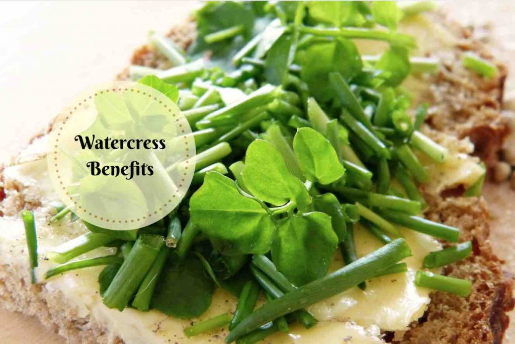 watercress health benefits