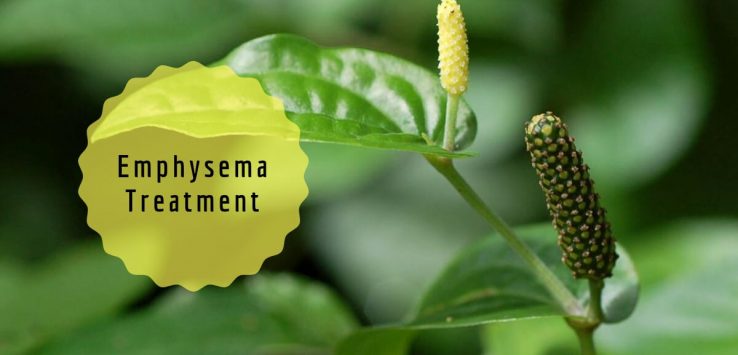 what is emphysema _ Ayurvedum