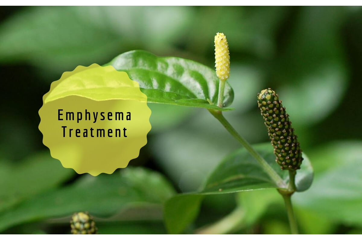 need-some-emphysema-treatment-try-home-remedies