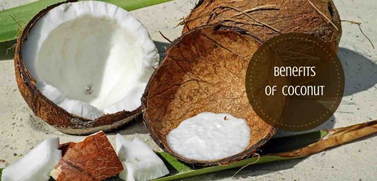 benefits of eating coconut