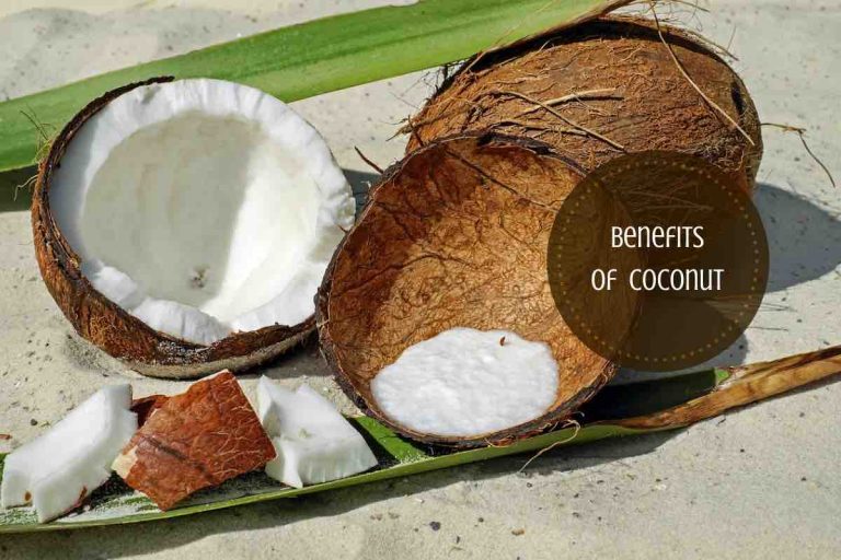 benefits of eating coconut - Ayurvedum