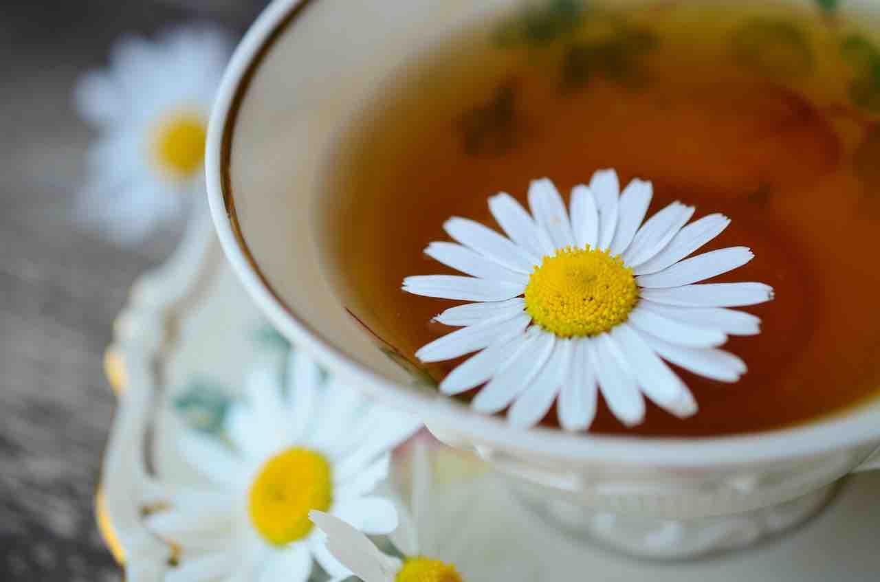 Can Herbal Tea Cause Headaches