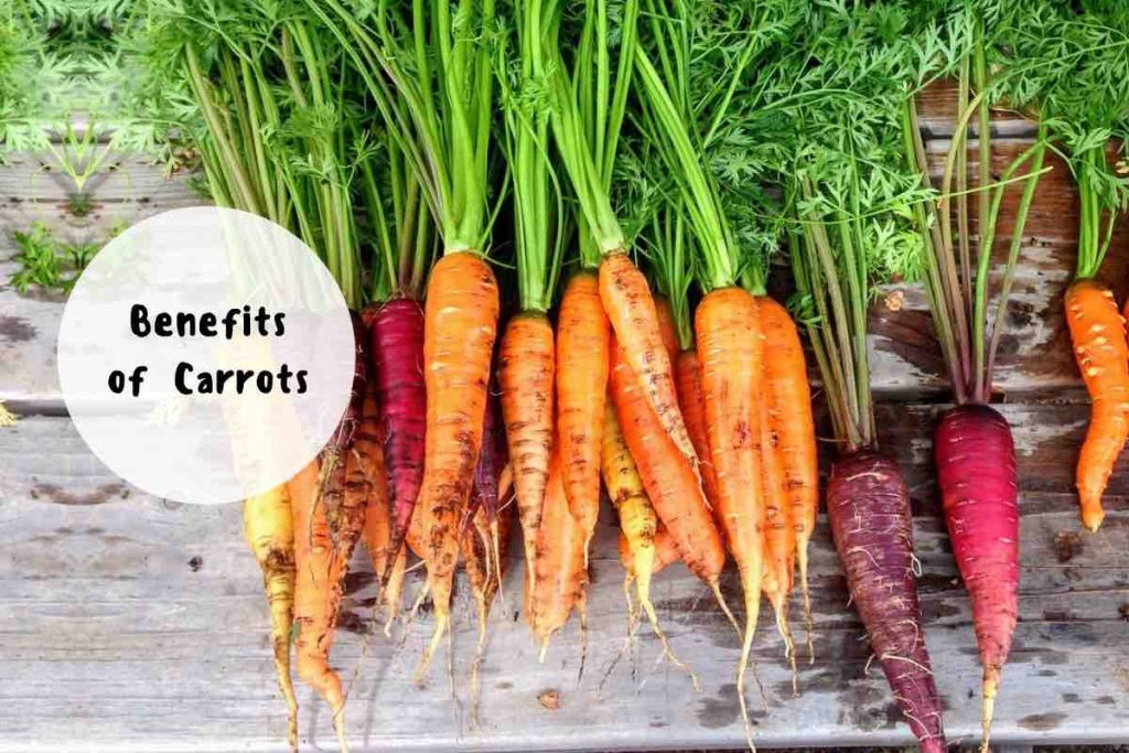 benefits of eating carrots