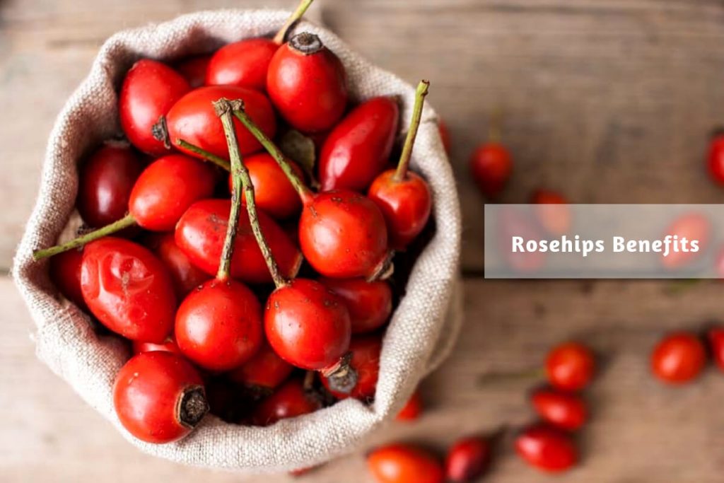 rose hips benefits _ Ayurvedum