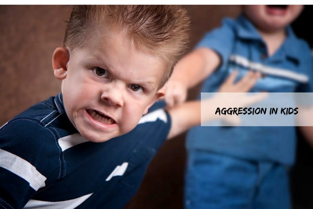 aggression in children _ Ayurvedum