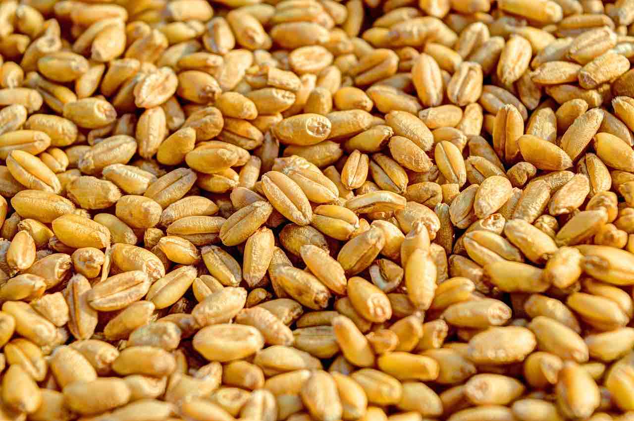 10-amazing-grains-for-low-carb-eaters