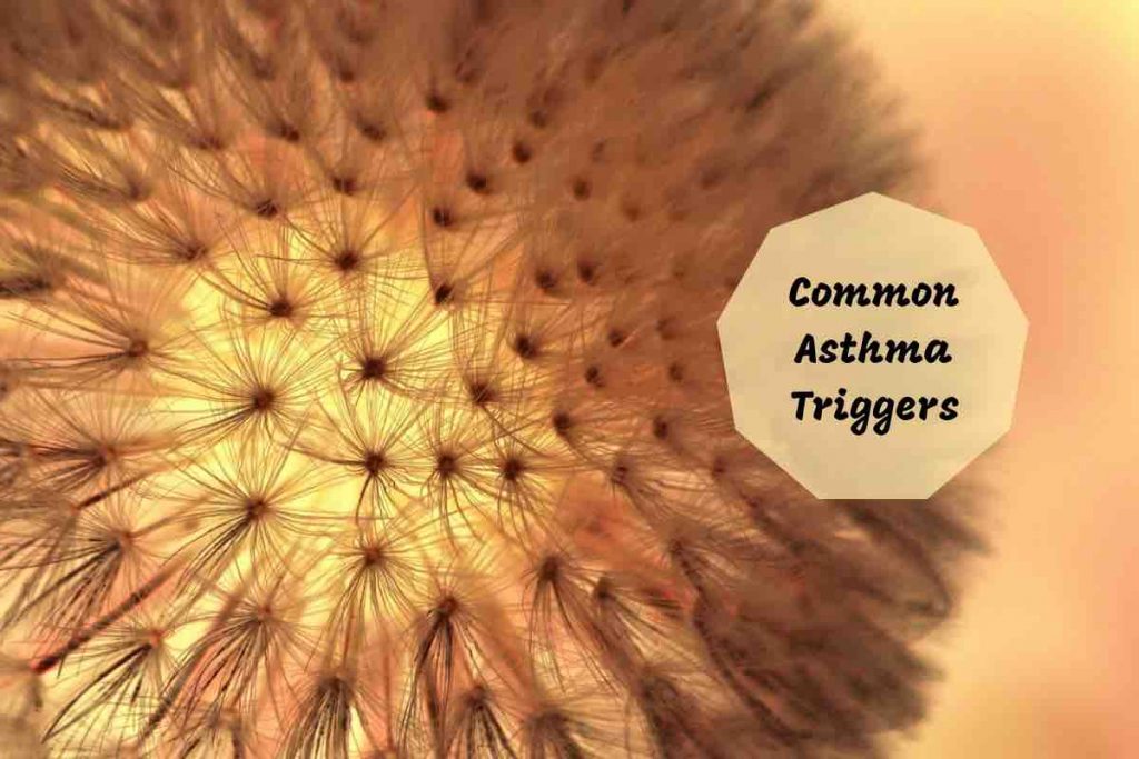 common asthma triggers