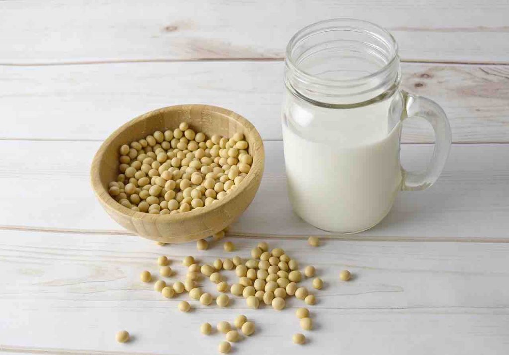 complete plant protein soy