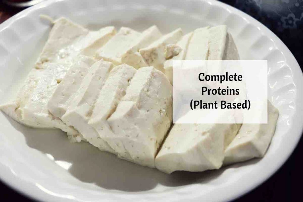 complete protein foods