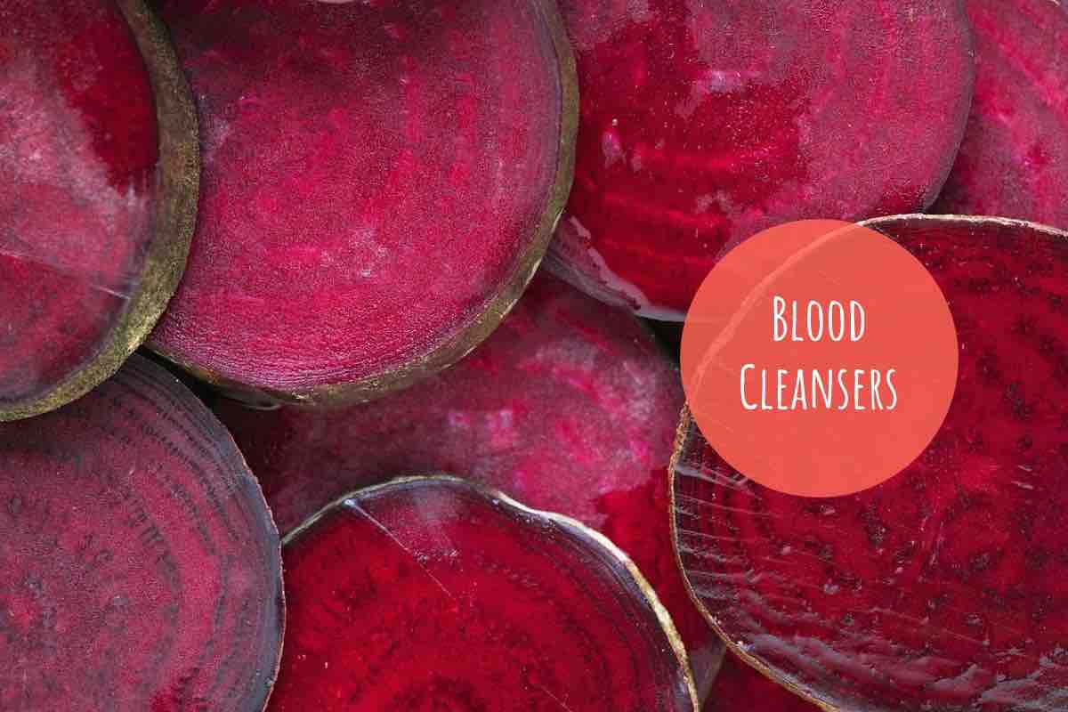 Blood Cleansing Herbs & Foods That Purify The Body Inside Out