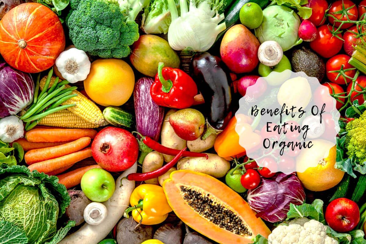 organic-food-benefits-top-7-reasons-to-choose-all-organic