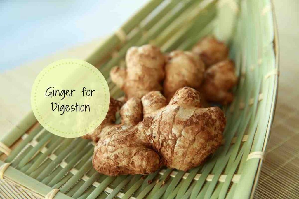 ginger for digestion