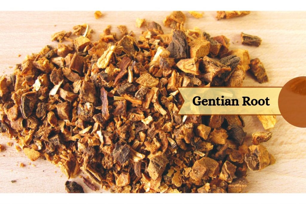 gentian root _ Ayurvedum