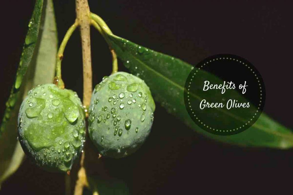 health benefits of green olives