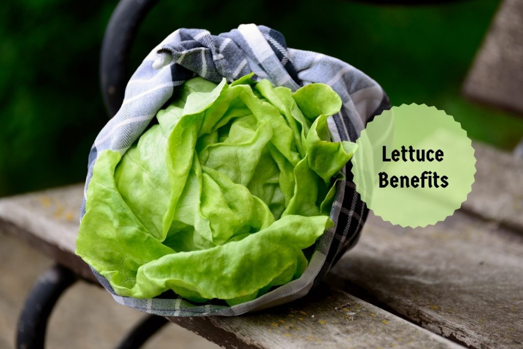 lettuce benefits