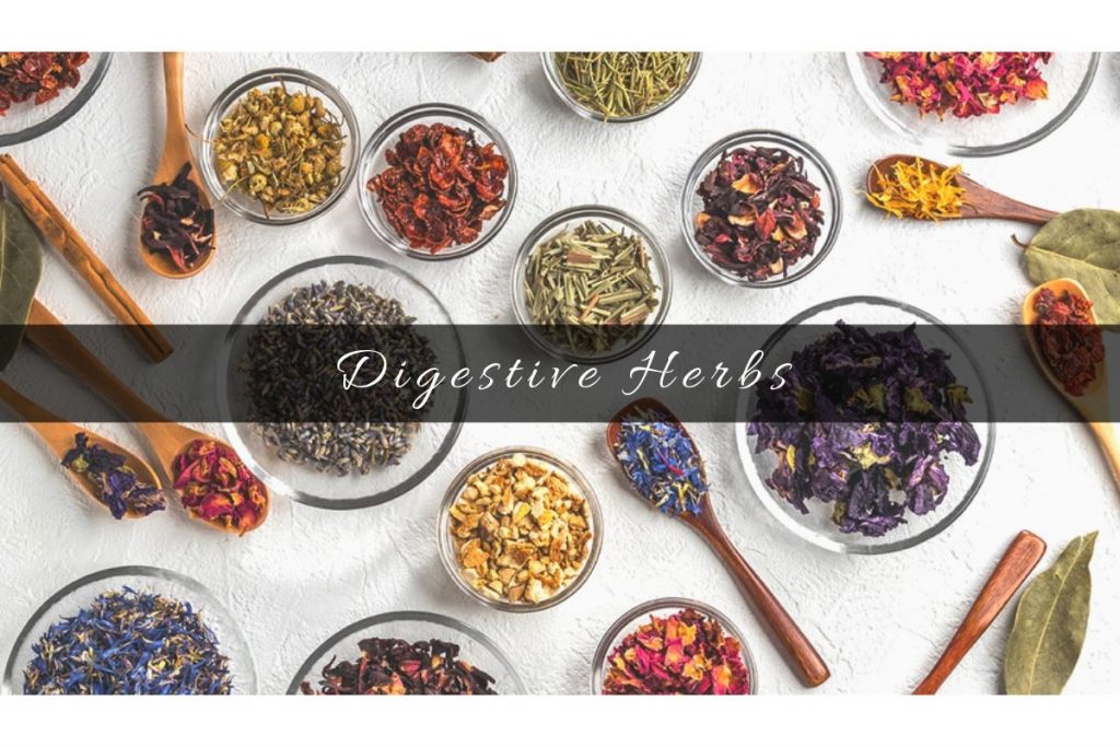 herbs for digestion _ Ayurvedum