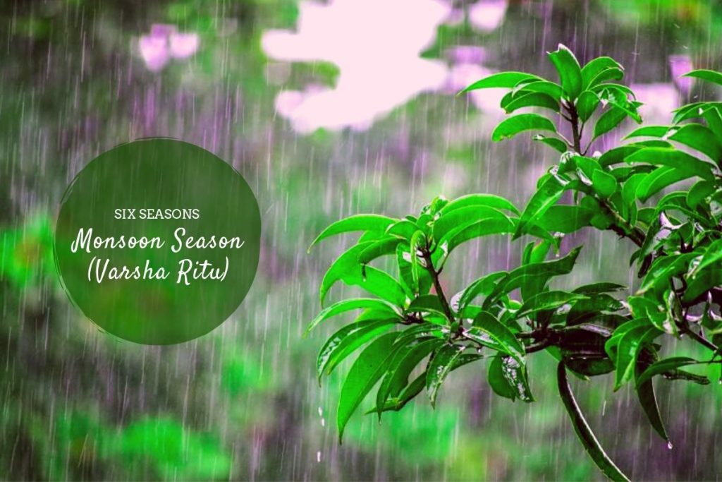 monsoon season ( varsha ritu ) _ Ayurvedum (1)