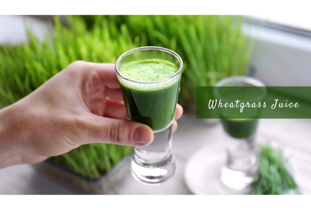 wheatgrass juice _ Ayurvedum